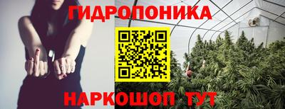 apvp Можайск