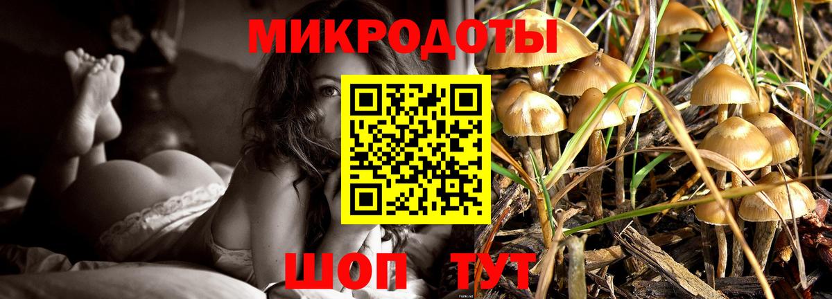 Губаха  Псилоцибиновые грибы ЛСД  Галлюциногенные грибы GOLDEN TEACHER  цены   Вход с VPN 